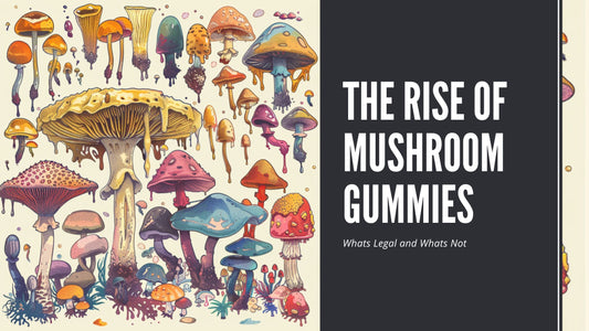 The Rise of Mushroom Gummies: Exploring Their Growing Popularity