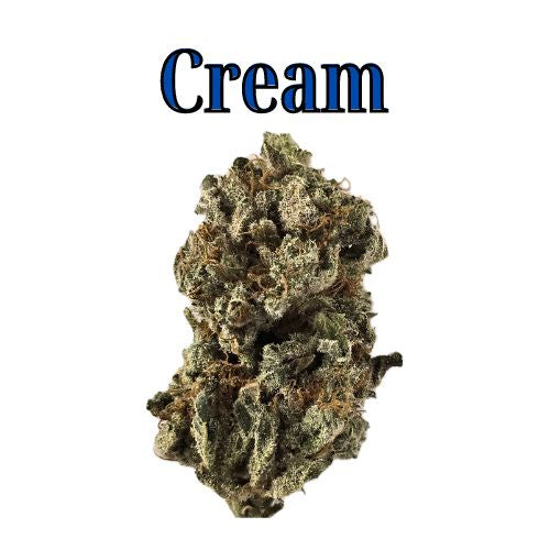 Cream 26% Indica/Hybrid THC-A Flower