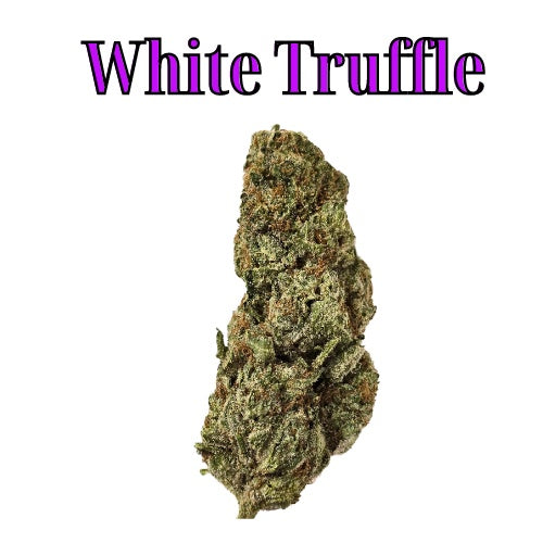 White Truffle 31% Indica/Hybrid THC-A Flower from Not specified at Elevate Evolution- Grab yours today for $14.99! 