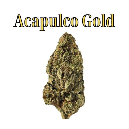 Acapulco Gold 29% Sativa/Hybrid THC-A Flower from Not specified at Elevate Evolution- Grab yours today for $14.99! 