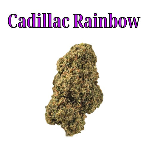 Cadillac Rainbow 27% Indica/Hybrid THC-A Flower from Not specified at Elevate Evolution- Grab yours today for $14.99! 