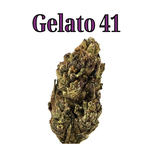 Gelato 41 31% Hybrid THC-A Flower from Not specified at Elevate Evolution- Grab yours today for $14.99! 