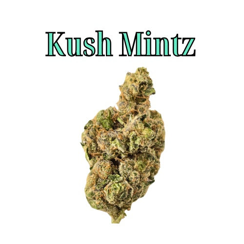 Kush Mintz 33% Hybrid THC-A Flower from Not specified at Elevate Evolution- Grab yours today for $14.99! 