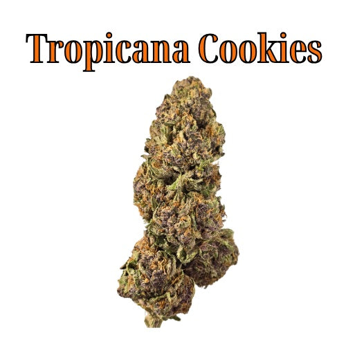 Tropicana Cookies 32% Sativa/Hybrid THC-A Flower from Not specified at Elevate Evolution- Grab yours today for $14.99! 