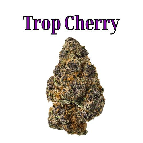 Trop Cherry 22% Hybrid THC-A Flower from Not specified at Elevate Evolution- Grab yours today for $14.99! 