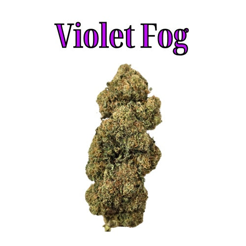 Violet Fog 28% Indica/Hybrid THC-A Flower from Not specified at Elevate Evolution- Grab yours today for $14.99! 