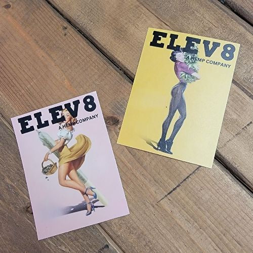 Elev8 Pin up Sticker from Bud Box at Elevate Evolution- Grab yours today for $1.49! 